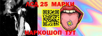 гидра Славгород