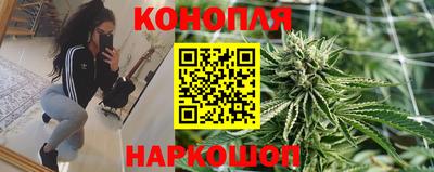 гидра Сланцы