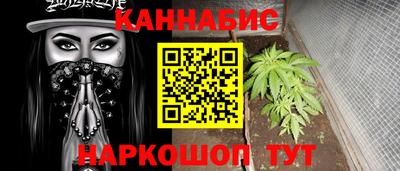 гидра Славгород