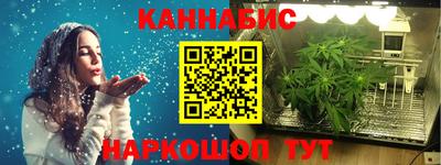 гидра Славгород