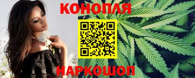 гидра Славгород