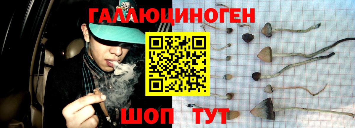 Назарово  Галлюциногенные грибы GOLDEN TEACHER  Вход с VPN 