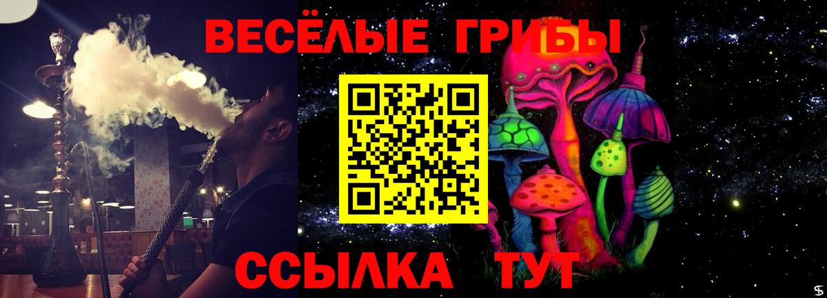 Псилоцибиновые грибы Psilocybe Назарово